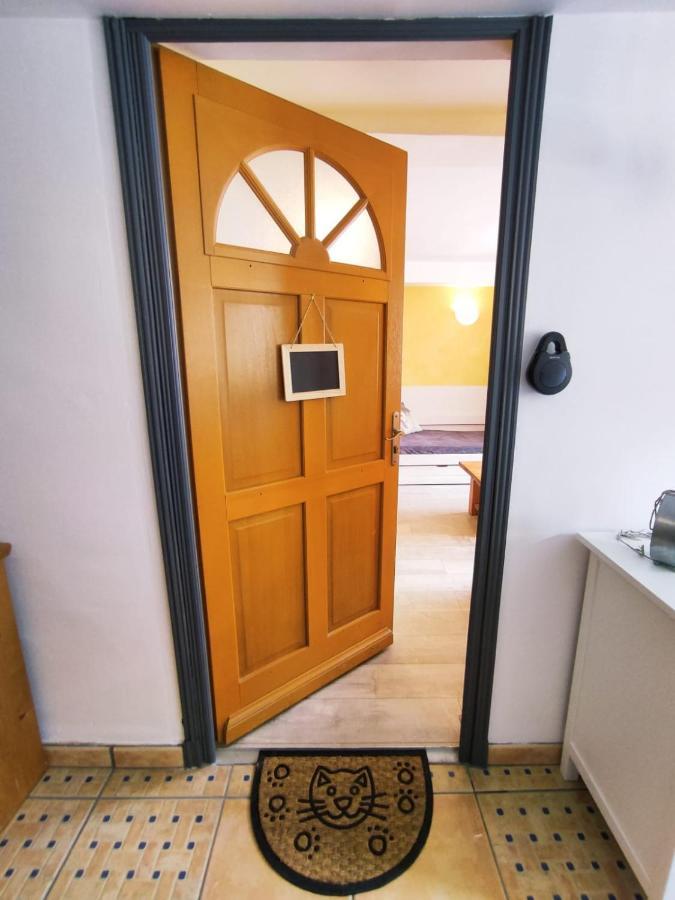Residence Le Refuge Toy - 2 Appartements T2 Dispo - Tout Compris リュス・サン・ソヴァール エクステリア 写真